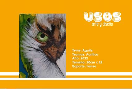 Aguila-Acrilico-tamano_20cmx22cm-lienso.jpg