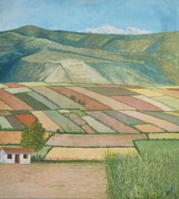 Alfondra Interandina - Ecuador - Precio 600.jpg